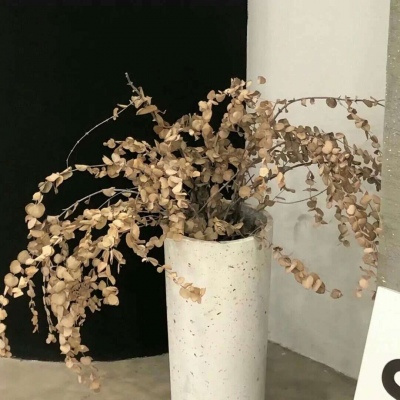 兽设原创构思技巧Furry群